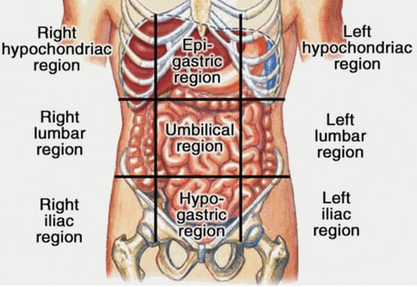 Liver Pain - Location, Pictures, Causes, Symptoms ...