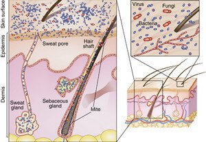 Corticosteroid use and diabetes