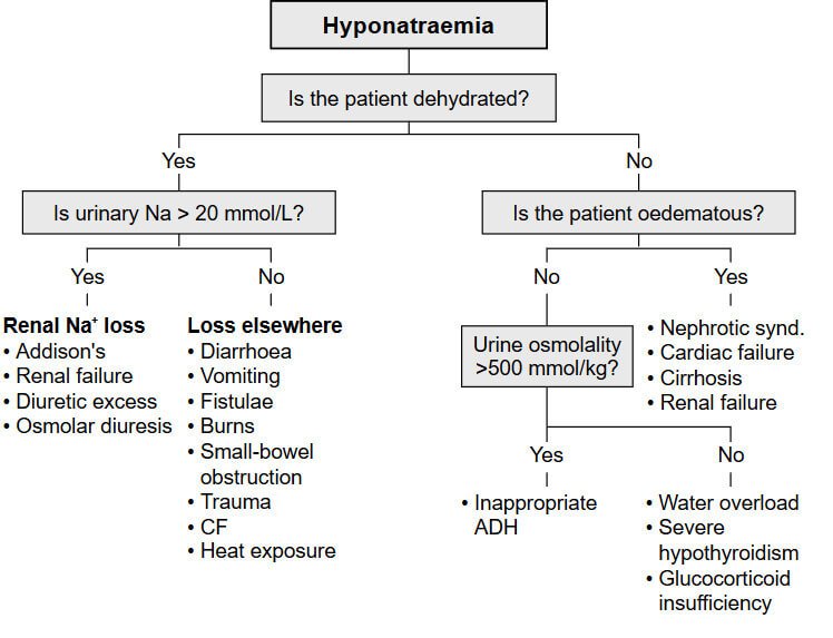 Hyponatremia Causes Chart